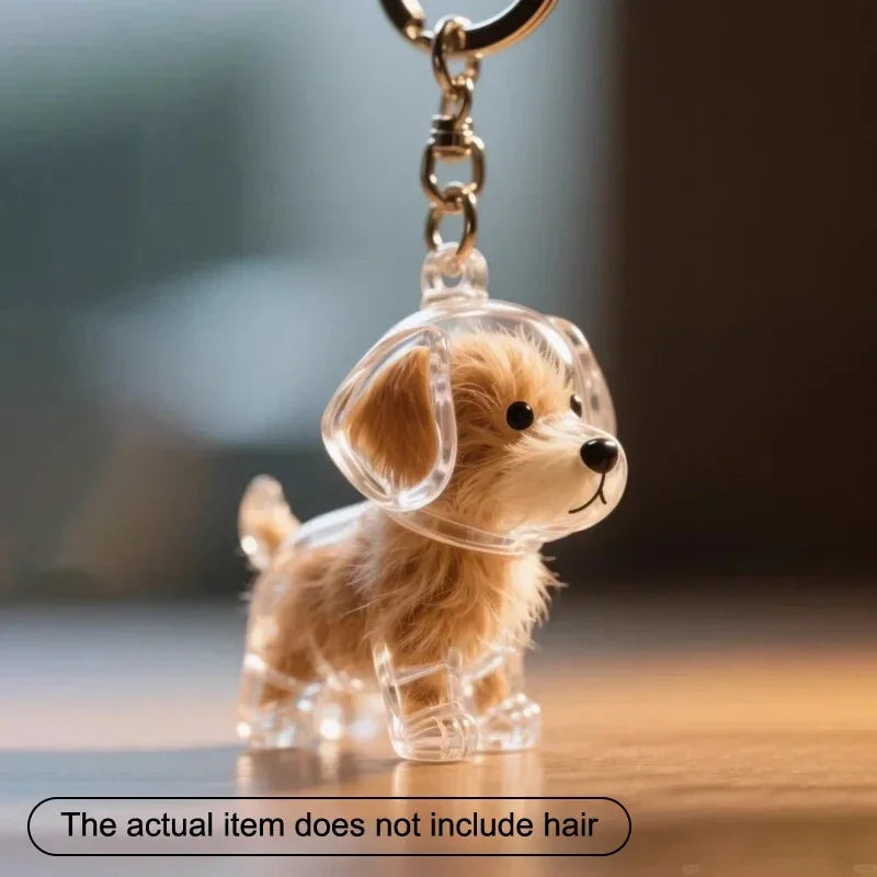 Pet Hair Keepsake Keychain – Personalized Cat & Dog Memorial Charm with Transparent Memory Capsule