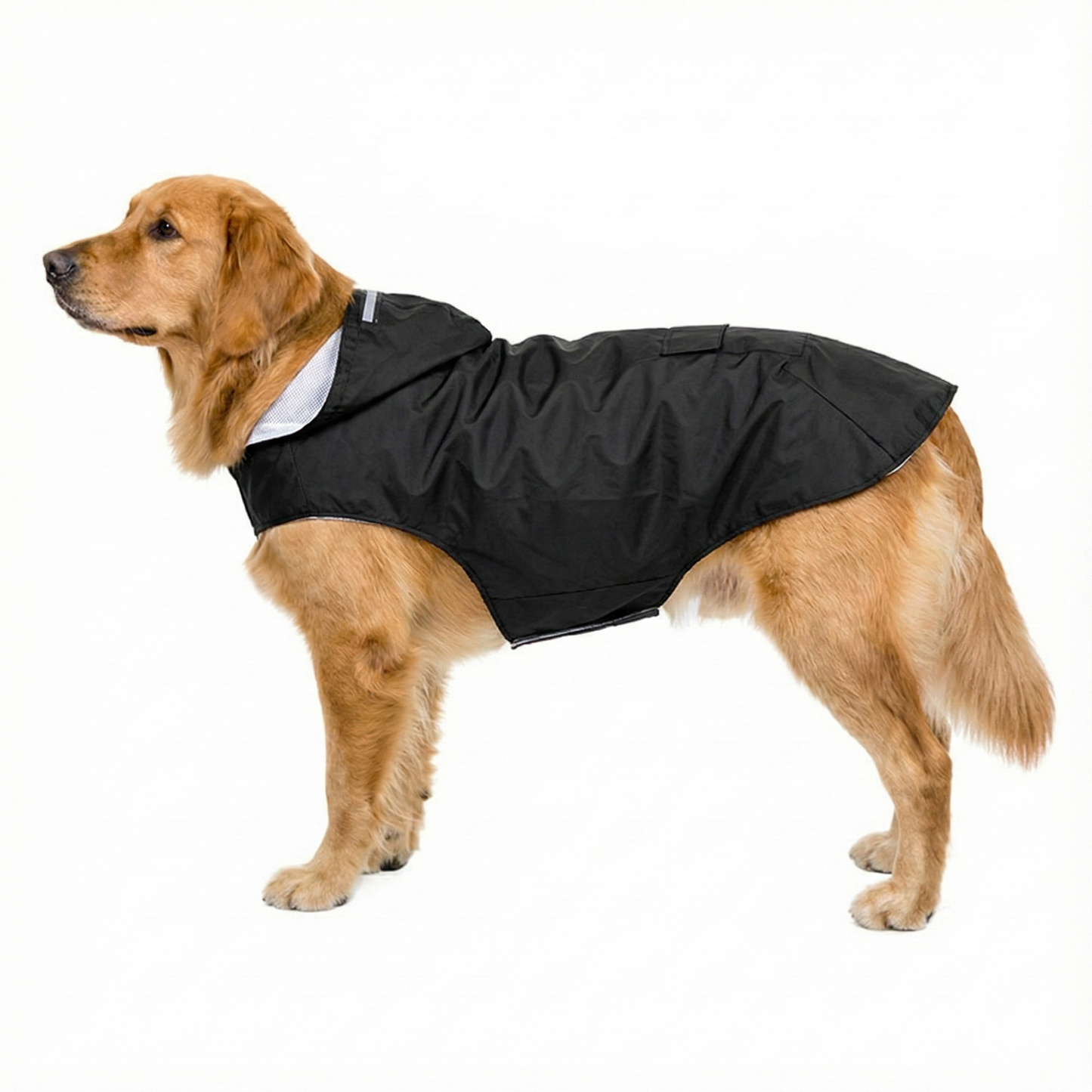 Waterproof Dog Raincoat with Hood